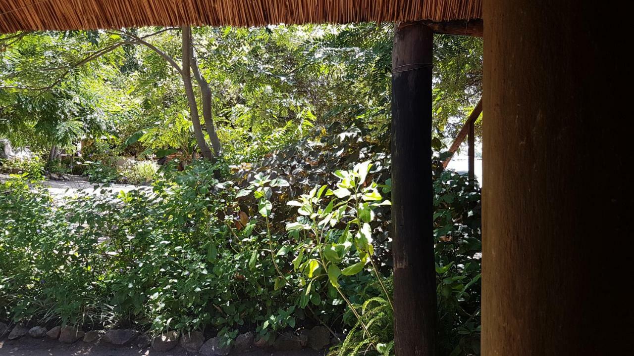 Mufasa Eco Lodge Monkey Bay Ngoại thất bức ảnh